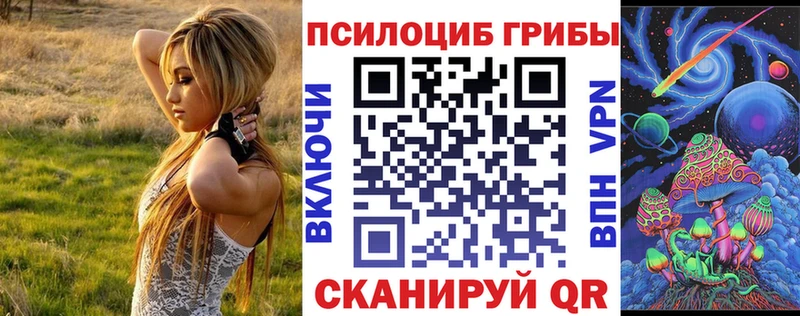 Купить закладки  Благовещенск  Псилоцибиновые грибы мицелий 